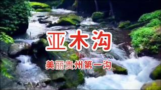 阿拉伯帝国谁才是正统?倭马亚王朝和阿拔斯王朝,似乎都不太平