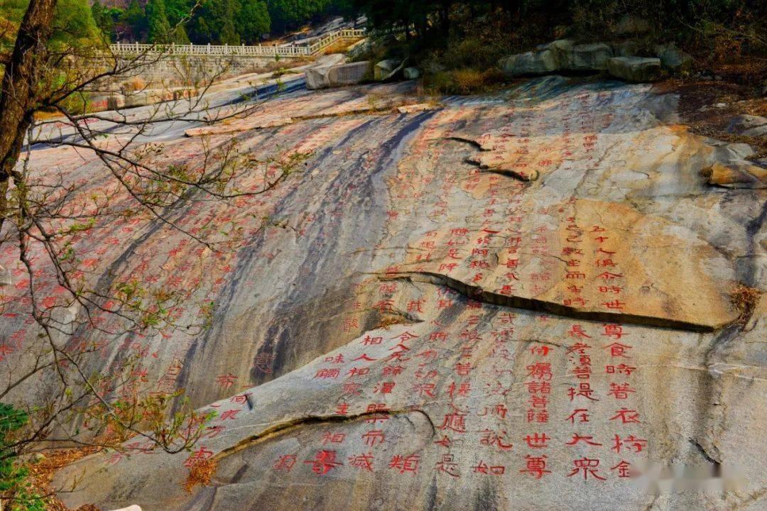 日照一男子酒后驾驶车辆撞坏中央护栏,竟找来自己的妹妹顶包